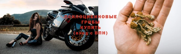 эйфоретик Новодвинск