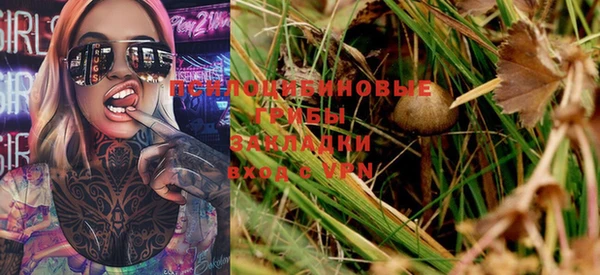 эйфоретик Новодвинск