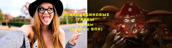 мдпв Новозыбков