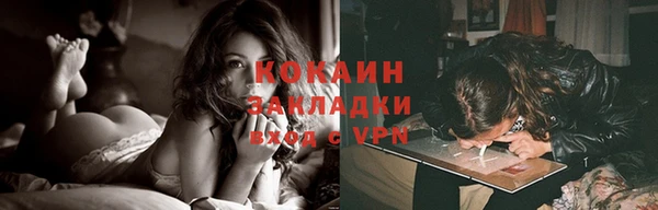 прущие грибы Нягань