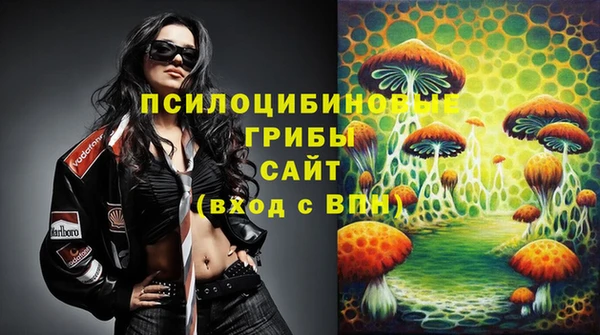 эйфоретик Новодвинск