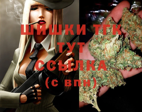 дмт Няндома