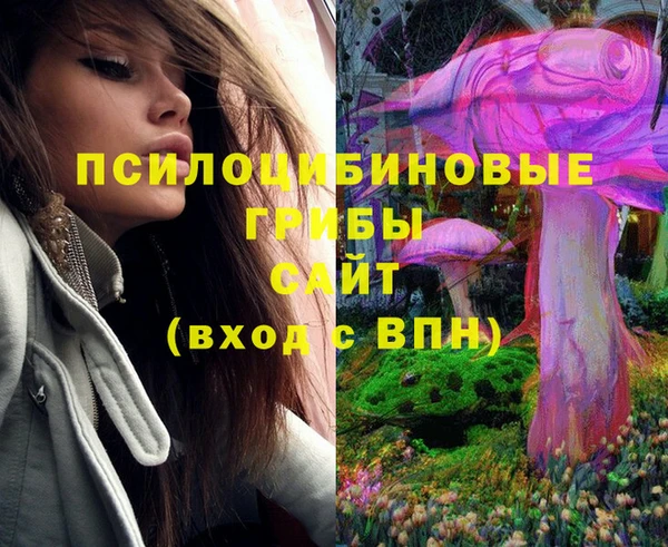 MDMA Premium VHQ Каменка
