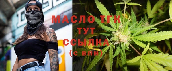 мдпв Новозыбков