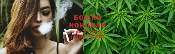 мдпв Новозыбков
