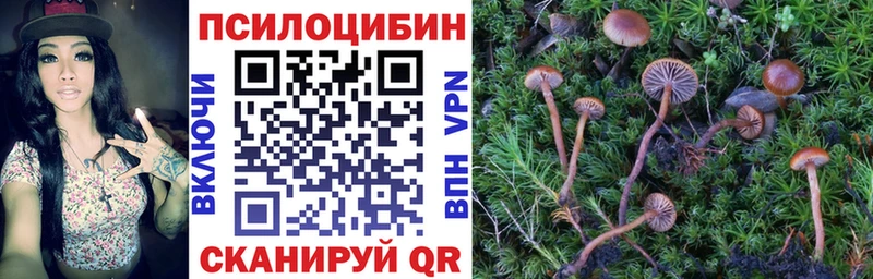 купить наркотик  Олонец  Псилоцибиновые грибы Magic Shrooms 